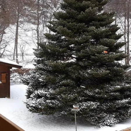 Affittacamere Haus Kristall 3*