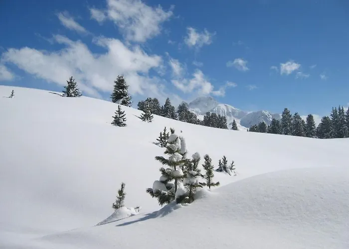 Gasthuis Haus Kristall